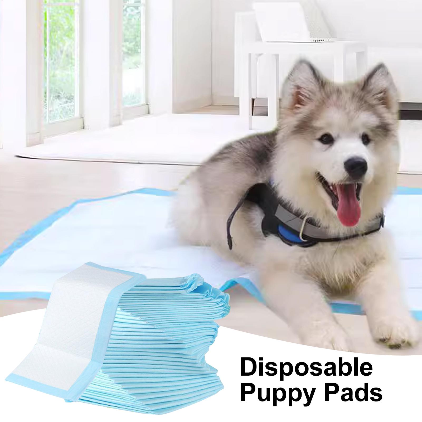 Diaper Changing Pad 100pcs Dia - đánh giá và giá Diaper Changing Mat